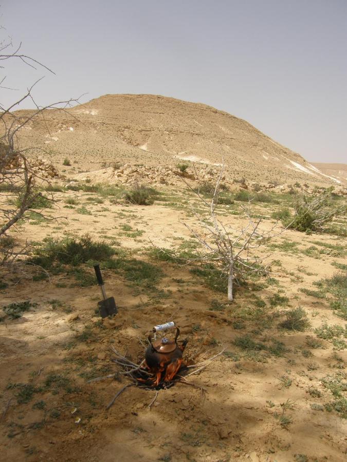 Hadass Desert