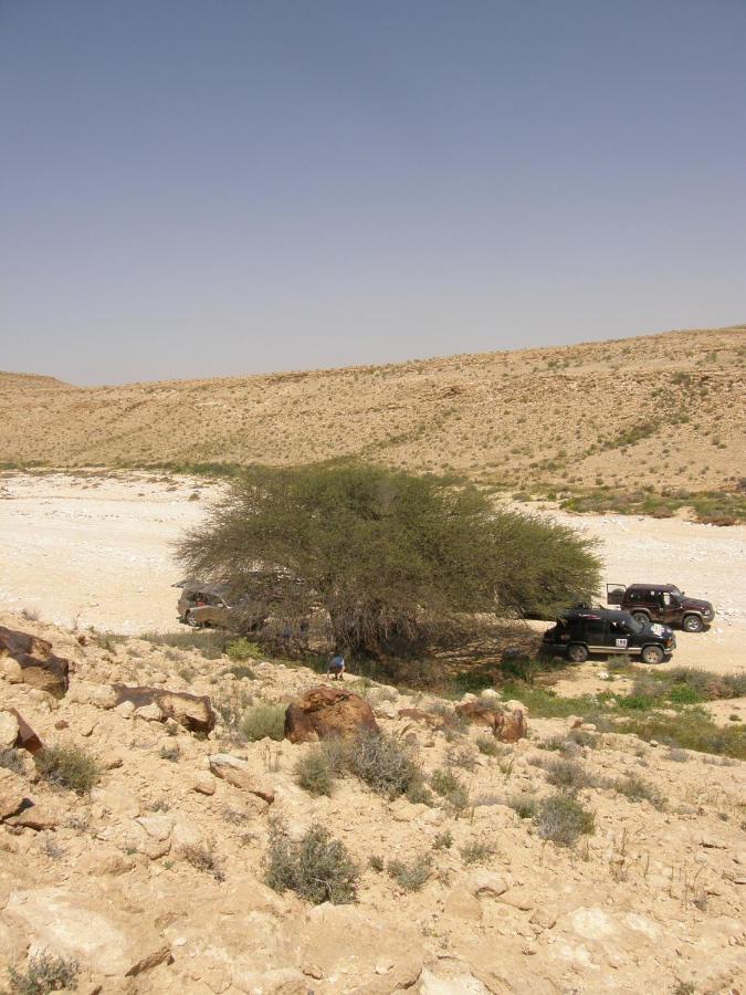Hadass Desert * Димона